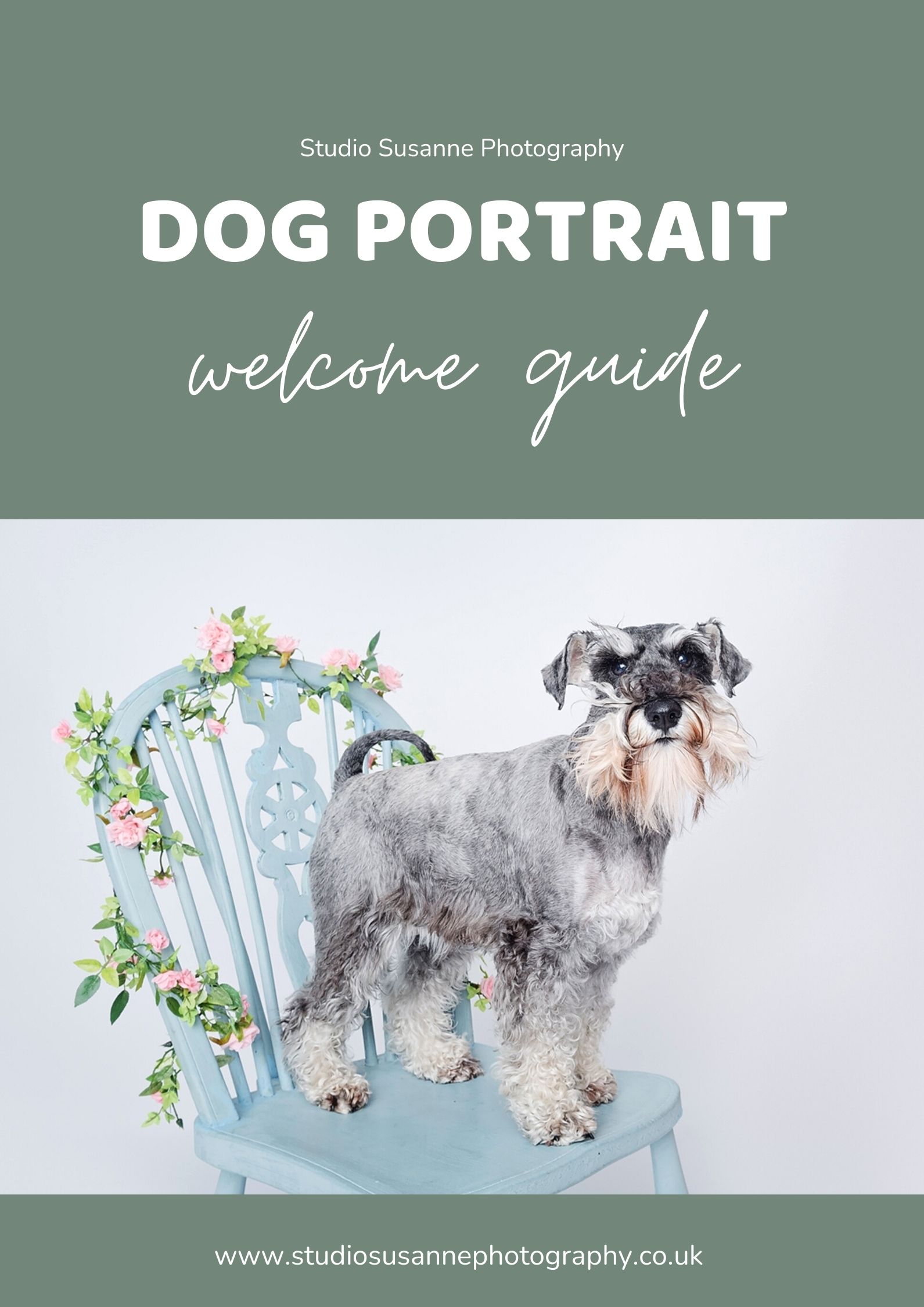 Dog portrait welcome guide